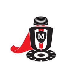 BM Consulting Services